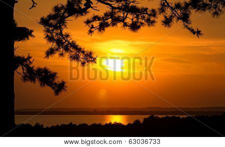 Beautiful Sunset