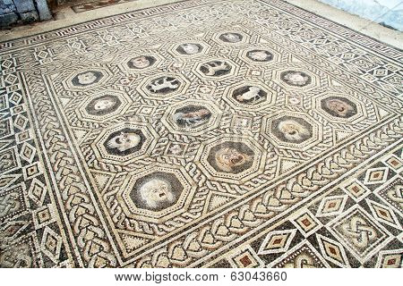 Mosaics On The Floor