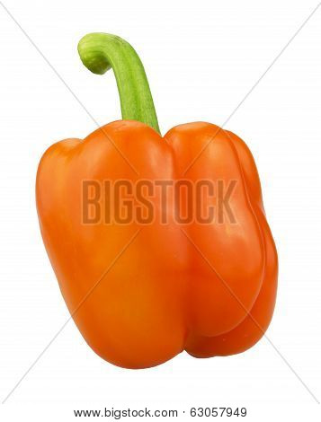 orange pepper isolated on white background