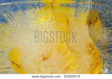 Icy Plants