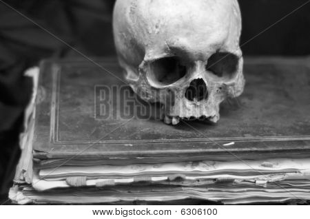 Skull on an old Book