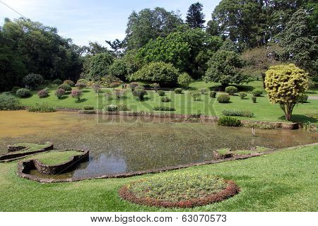 Lake And Trees