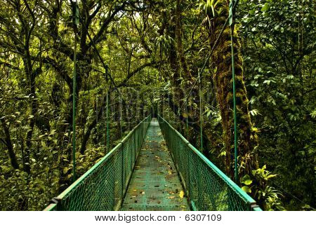 Hanging Bridge
