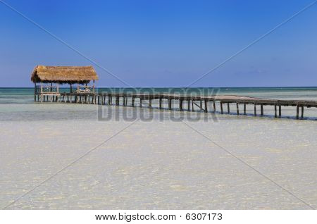 Tropical Beach Resort