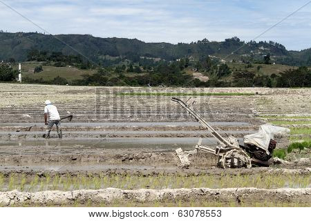 Worker And Tractor
