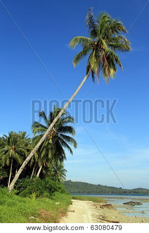 Footpath On The Beach
