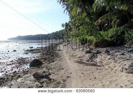 Footpath On The Beach
