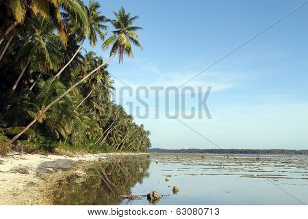 Plantation