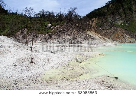 Color Water