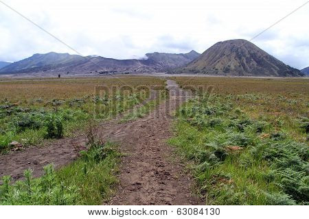 Footpath To Volcano