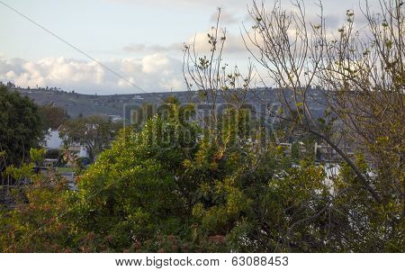 Backyard With Mountain View