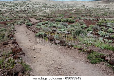 Pathway in the Volcanic Desert