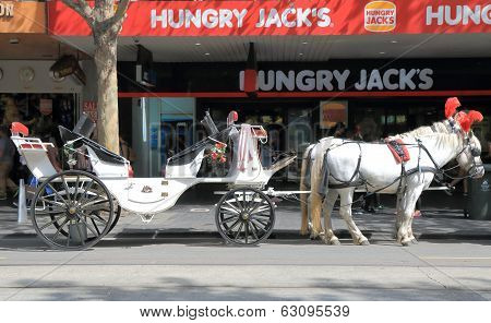 Horse carriage Melbourne
