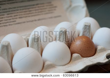 Eggs