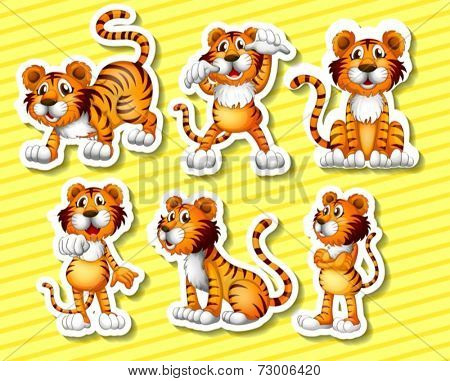 Illustration of a tiger with different poses