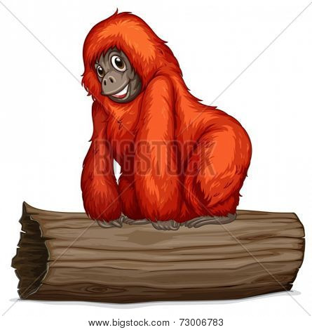 Illustration of an orangutan on a long