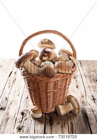 Ceps on wooden table, autumn harvest crop