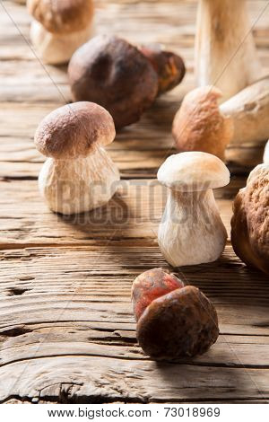 Ceps on wooden table, autumn harvest crop