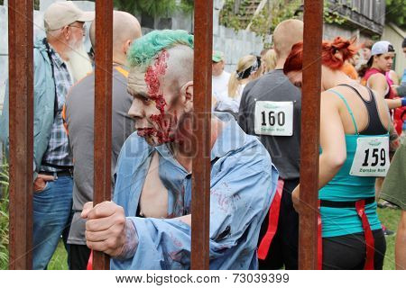 MUSKOGEE, OK - Sept. 13: A bloody zombie holds a metal fence, ready to chase his victims during the Castle Zombie Run at the Castle of Muskogee in Muskogee, OK on September 13, 2014. 