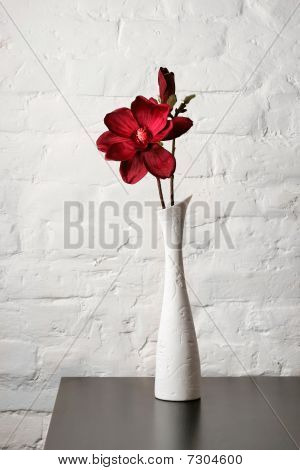 白い花瓶を花します。