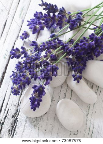 lavender on the white stones, spa