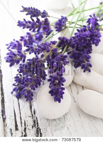 lavender on the white stones, spa