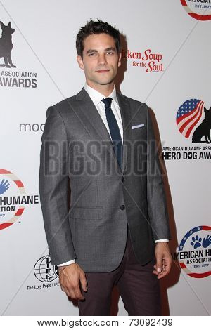 LOS ANGELES - SEP 27:  Brant Daugherty at the Hero Dog Awards at Beverly Hilton Hotel on September 27, 2014 in Beverly Hills, CA