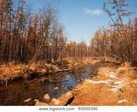 Grassland autumn scenery in China