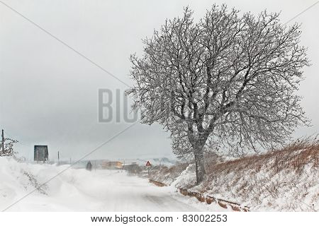 Italian Snowy Landscape