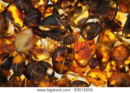 amber stones