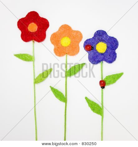 Bloemen en lieveheersbeestjes