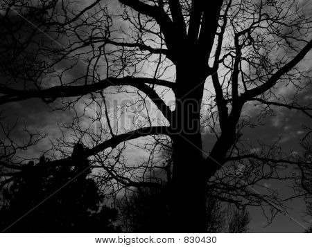 Nightscape