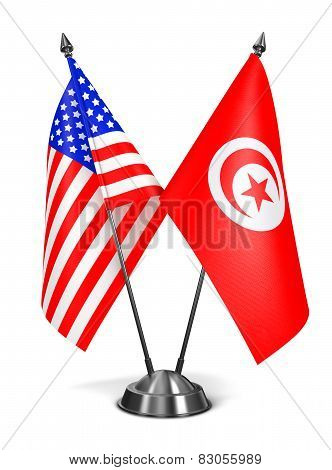 USA and Tunisia - Miniature Flags.