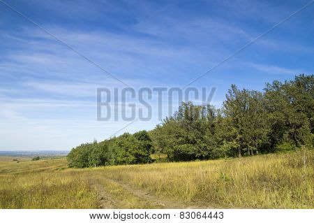 The border of the forest and fields
