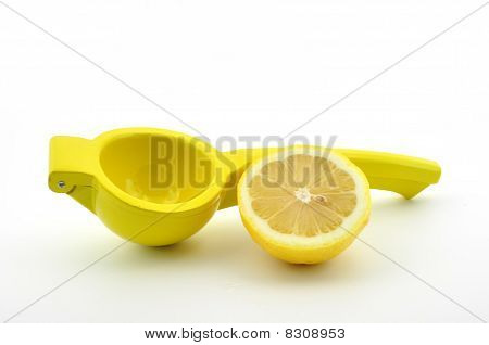 Lis na citrony s citronem