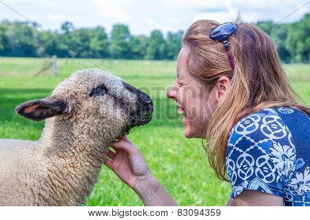 Woman and sheep heads together