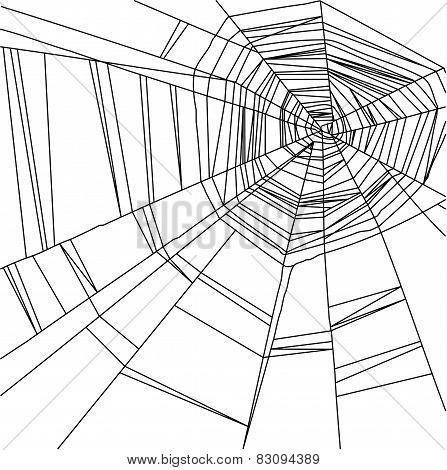 white spider web isolated on the  black background