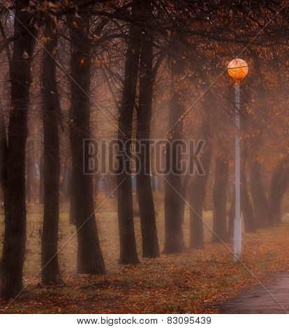 Morning Fog
