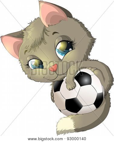kitten and ball