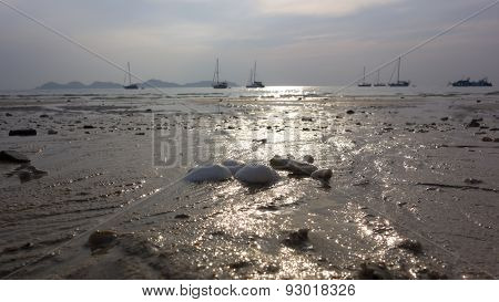 On the Beach. Low Tide.