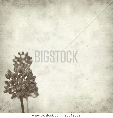 Textured Old Paper Background