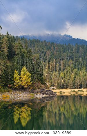 Lake Of The Woods