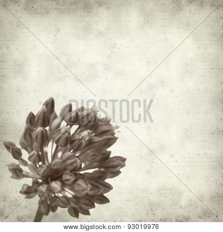 Textured Old Paper Background