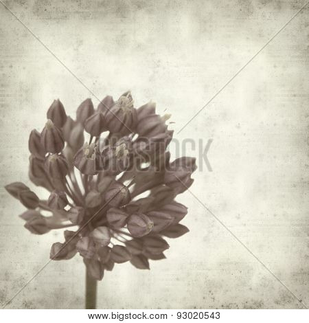 Textured Old Paper Background