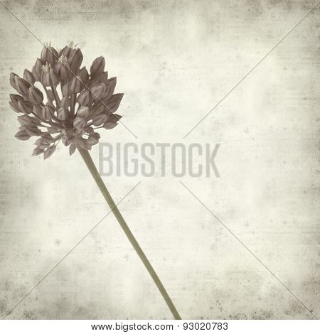 Textured Old Paper Background