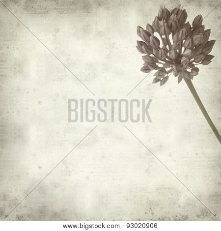 Textured Old Paper Background