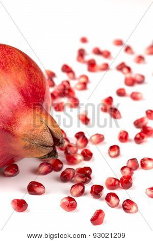 Pomegranate Seeds On White Background Punica Granatum