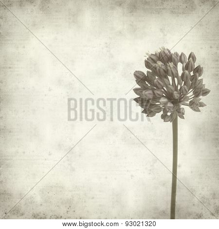 Textured Old Paper Background