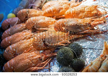 Seafood on ice at the sea market