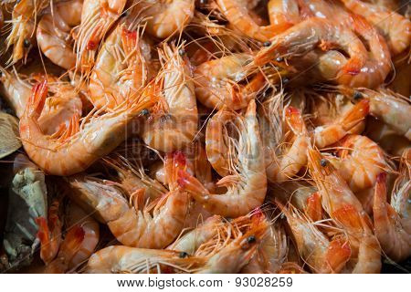 Shrimp at the fish market